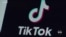Trump, Biden woo voters on TikTok. Will it make a difference?