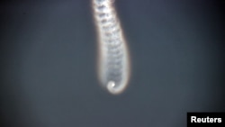 26일 북한 관영매체 조선중앙통신이 비공개 장소에서 진행한 개별 이동전투 분리 및 유도통제 시험 모습.