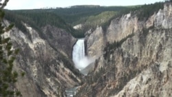 Amerikaga sayohat: Yellouston parki