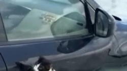 Hujan Badai Landa UEA, Bahrain, & Oman, 18 Orang Tewas