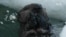 Nature | Sea Otters

