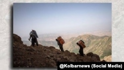 تصویری از چند کولبر