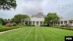 Ružičnjak Bele kuće u Vašingtonu, 10. maja 2024. 