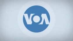 Искусственный интеллект проектирует роботов; скамейки из пластиковых бутылок | «Детали» 