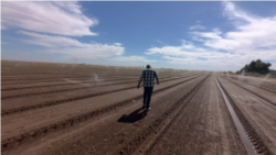 Part Three: Food Engine in the Desert 