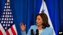 Wakil Presiden AS Kamala Harris menyampaikan pidato dalam sebuah acara di McKinstry, Seattle, pada 15 Agustus 2023. (Foto: AP/Lindsey Wasson)