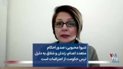 شیوا محبوبی: صدور احکام متعدد اعدام، زندان و شلاق به دلیل ترس حکومت از اعتراضات است