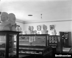 Exhibit cases of the Department of Physical Anthropology in the National Museum of Natural History in 1911 contain skulls and bones. Busts of Native Americans sit on top of the cases.