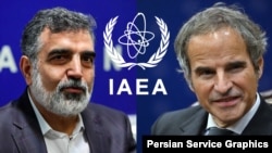 بهروز کمالوندی / رافائل گروسی