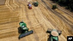 Arhiva - Farmeri žanju žito kombajnima nedaleko od Tbiliskaja, Rusija, 21. jula 2021.