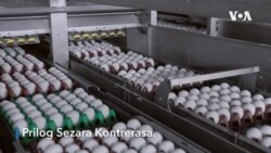 Novi šverc na američko-meksičkoj granici, roba - sveža jaja