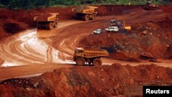 Sejumlah truk sedang mengangkut bijih nikel mentah di Sorowako, Sulawesi Selatan, 8 Januari 2014. (Foto: REUTERS/Yusuf Ahmad)