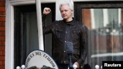 Pendiri WikiLeaks, Julian Assange yang masih tinggal di Kedutaan Ekuador di London, Inggris (foto: dok). 