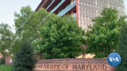 A Digital Setting For A Classical Violin Concert 