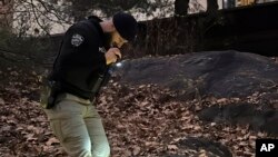 Офицер полиции Нью-Йорка ищет улики, связанные с убийством генерального директора UnitedHealthcare Брайана Томпсона, в Центральном парке, 6 декабря 2024 года.