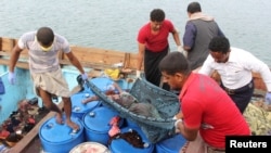 The body of a Somali refugee is removed after an attack on a boat near Yemen, at the Red Sea port of Hodeidah, March 17, 2017.