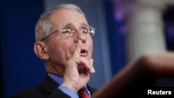 Direktor Nacionalnog instituta za alegrije i infektivne bolesti Entoni Fauči (Foto: Rojters) 