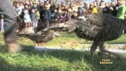 Індик як гість, а не їжа на Дні Подяки