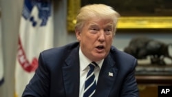FILE - President Donald Trump speaks during a prison reform roundtable in the Roosevelt Room of the Washington, Jan. 11, 2018. 
