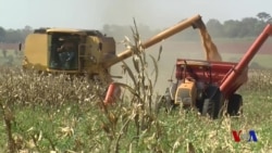 Xalqaro hayot - 7-iyun, 2018-yil - AQSh va Xitoy savdo bobida kelishishga urinmoqda