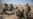 US Military: 2 Service Members Killed in Afghanistan
