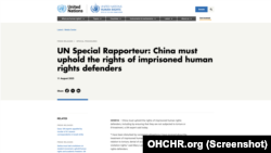 联合国人权维护者处境特别报告员：中国必须维护被监禁人权捍卫者的权利(网站截图)