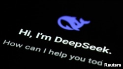 资料照片：DeepSeek的应用程序界面。
