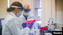 Učesnici studije će prvo biti izloženi maloj dozi virusa, a u drugoj fazi standardnoj količini