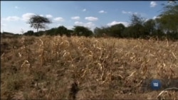 Aграрії можуть призупинити деградацію ґрунту і, заощадити гроші за допомогою цих технологій. Відео