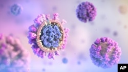 Novi 3D model koronavirusa