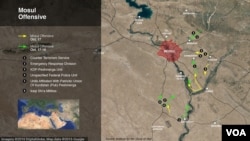 The Mosul offensive