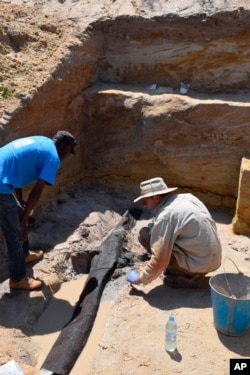 حفر ساختار چوبی در بستر یک رودخانه در زامبیا، آفریقا.