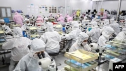 FILE - Workers produce LED chips at a factory in Huaian, in China's eastern Jiangsu province, June 16, 2020.