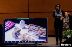 تصویر دو جسد مومیایی شده سه انگشتی در کنگره مکزیک