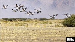 خشک شدن دریاچه بختگان در استان فارس