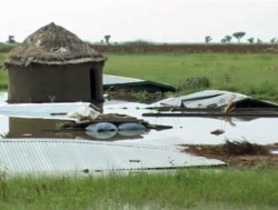 Effects of floods in Kaikai village, northern Cameroon (M. Edwin Kindzeka/VOA)