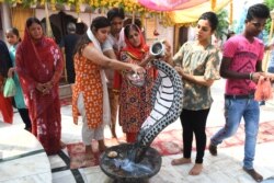 Umat Hindu menuangkan susu di atas patung ular Cobra dalam festival "Nag Panchami" di sebuah kuil di Amritsar, 13 Agustus 2021. (Foto: NARINDER NANU / AFP )