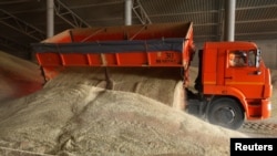 FILE - A driver unloads a truck at a grain storage site during wheat harvesting in the village of Kamennobrodskaya in Russia's Stavropol region, July 4, 2019.