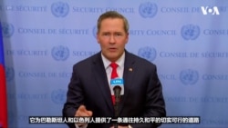 沃尔兹大使：联合国通过美国提出的有关加沙的决议是历史性的时刻