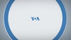 Итоги с Юлией Савченко