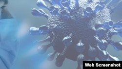 美国众议院外交委员会少数党2021年8月发表的有关新冠病毒起源和武汉病毒所的调查报告封面(局部)。