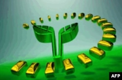 Milliy televideniyeda bosh ko’targan jurnalist dodimni prezident eshitsin deydi