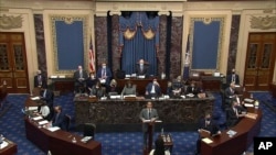 Kongresmen iz Merilenda, glavni menadžer za opoziv Džejmi Raskin govori na suđenju za opoziv bivšeg predsednika Donalda Trampa u Senatu 10. februara 2021.