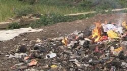 Report: Health of 200 Million Threatened by Pollution