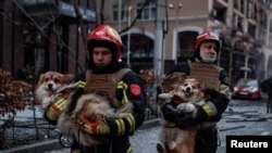 Рятувальники допомагають мешканцям евакуювати собак після атаки Росії по центру Києва, 20 грудня 2024 року. REUTERS/Yan Dobronosov