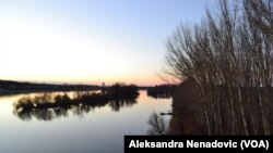 Pogled sa Beljarice na Dunav gde bi po projektu trebala da bude luka, Foto; Glas Amerike