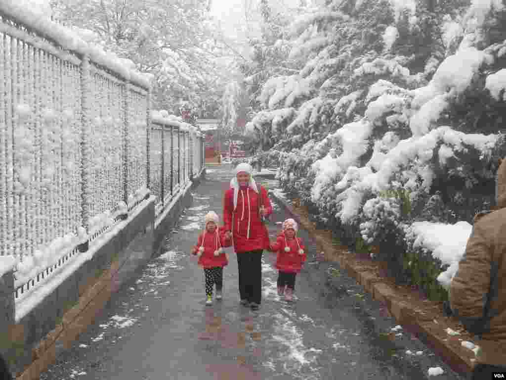 O'shda qor yog'di... Qish manzaralari