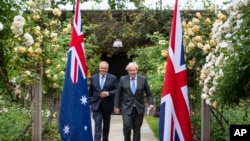 英国首相约翰逊(右)和澳大利亚总理莫里森在伦敦唐宁街10号的花园里举行会面后一起散步。(2021年6月15日)