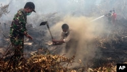 Warga desa dan anggota TNI berusaha memadamkan kebakaran hutan dan lahan di Rimbo Panjang, provinsi Riau (6/9). Presiden Jokowi memerintahkan tindakan hukum yang tegas terhadap pihak yang bertanggung jawab atas kebakaran hutan.