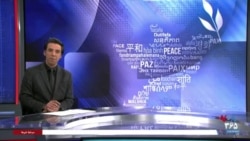 اخبار شبانگاهی